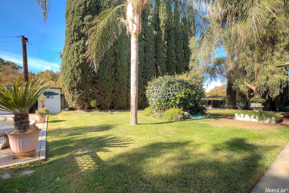 33701 S Bird Rd, Tracy, CA 95304 photo 21