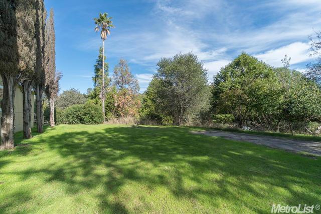 15780 Butte Mountain Rd, Jackson, CA 95642 photo 15