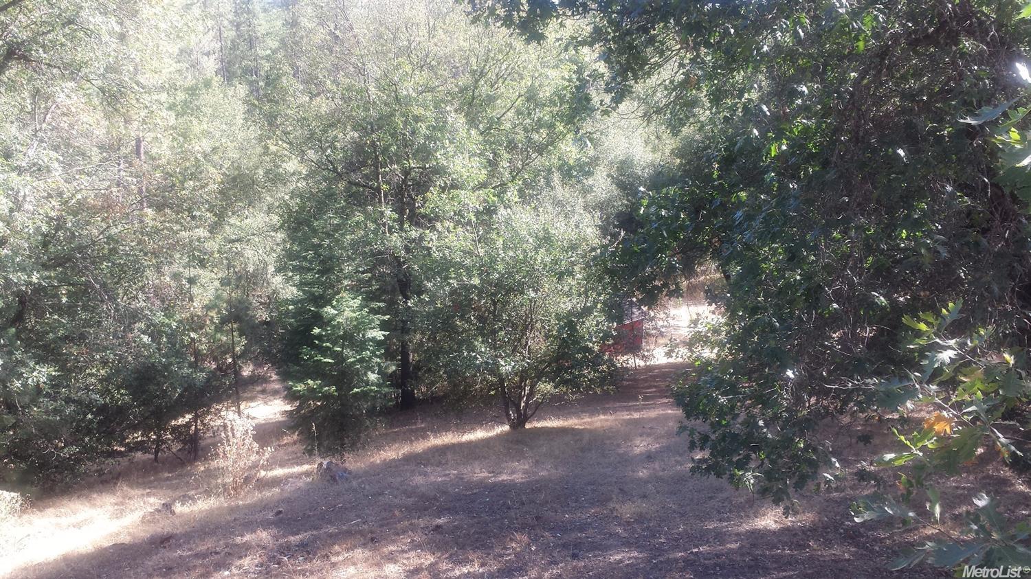 4871 China Camp Dr, Placerville, CA 95667 photo 10