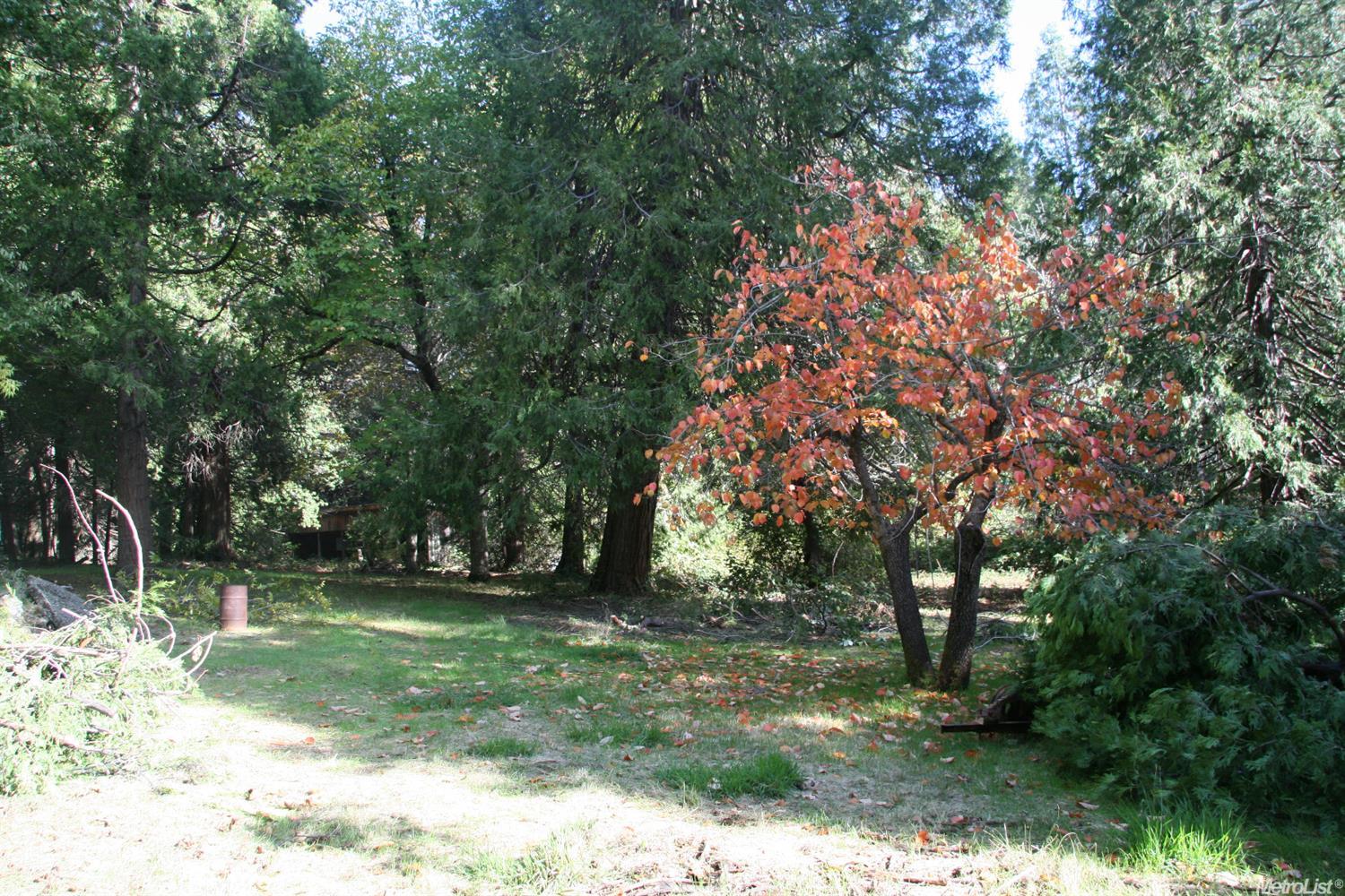 6406 Main St, Georgetown, CA 95634 photo 4