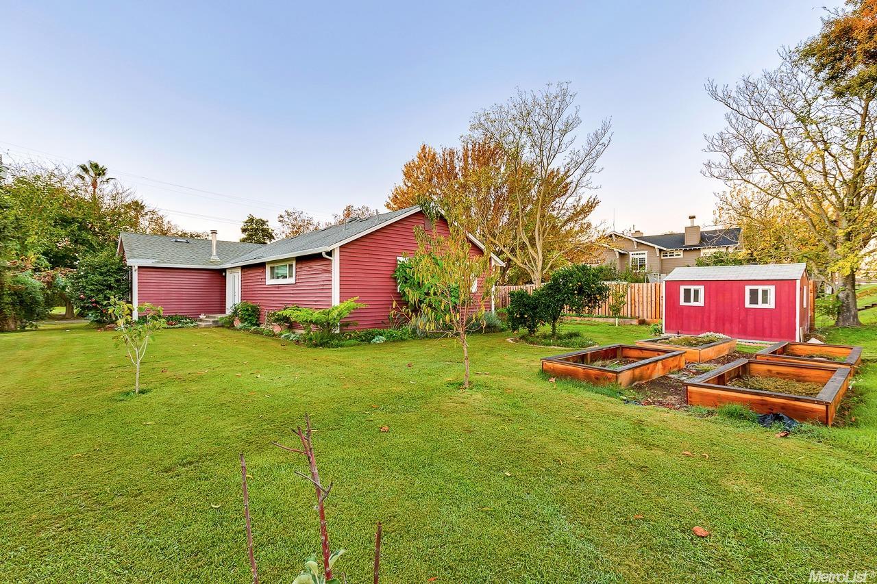 441 W Willow Tree Ln, Isleton, CA 95641 photo 5