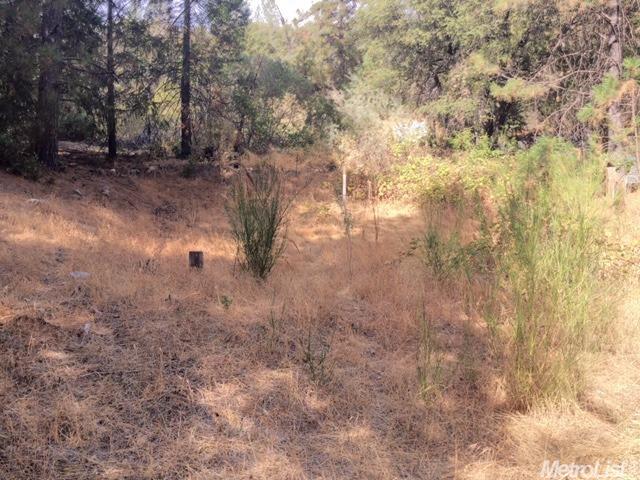 9530 State Highway 193, Placerville, CA 95667 photo 6