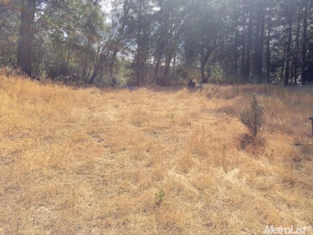 9530 State Highway 193, Placerville, CA 95667 photo 8