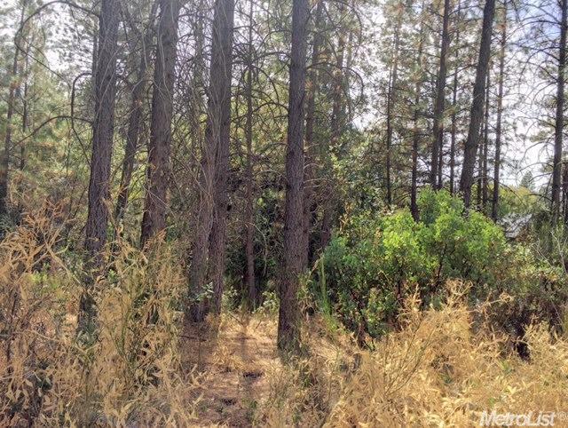 9530 State Highway 193, Placerville, CA 95667 photo 10