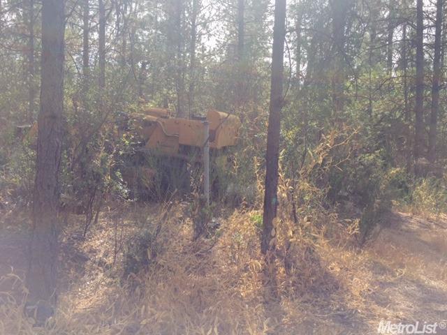 9530 State Highway 193, Placerville, CA 95667 photo 1