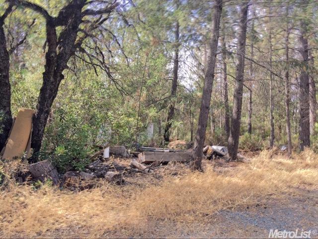 9530 State Highway 193, Placerville, CA 95667 photo 13