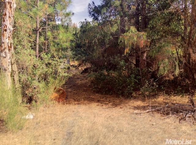 9530 State Highway 193, Placerville, CA 95667 photo 2