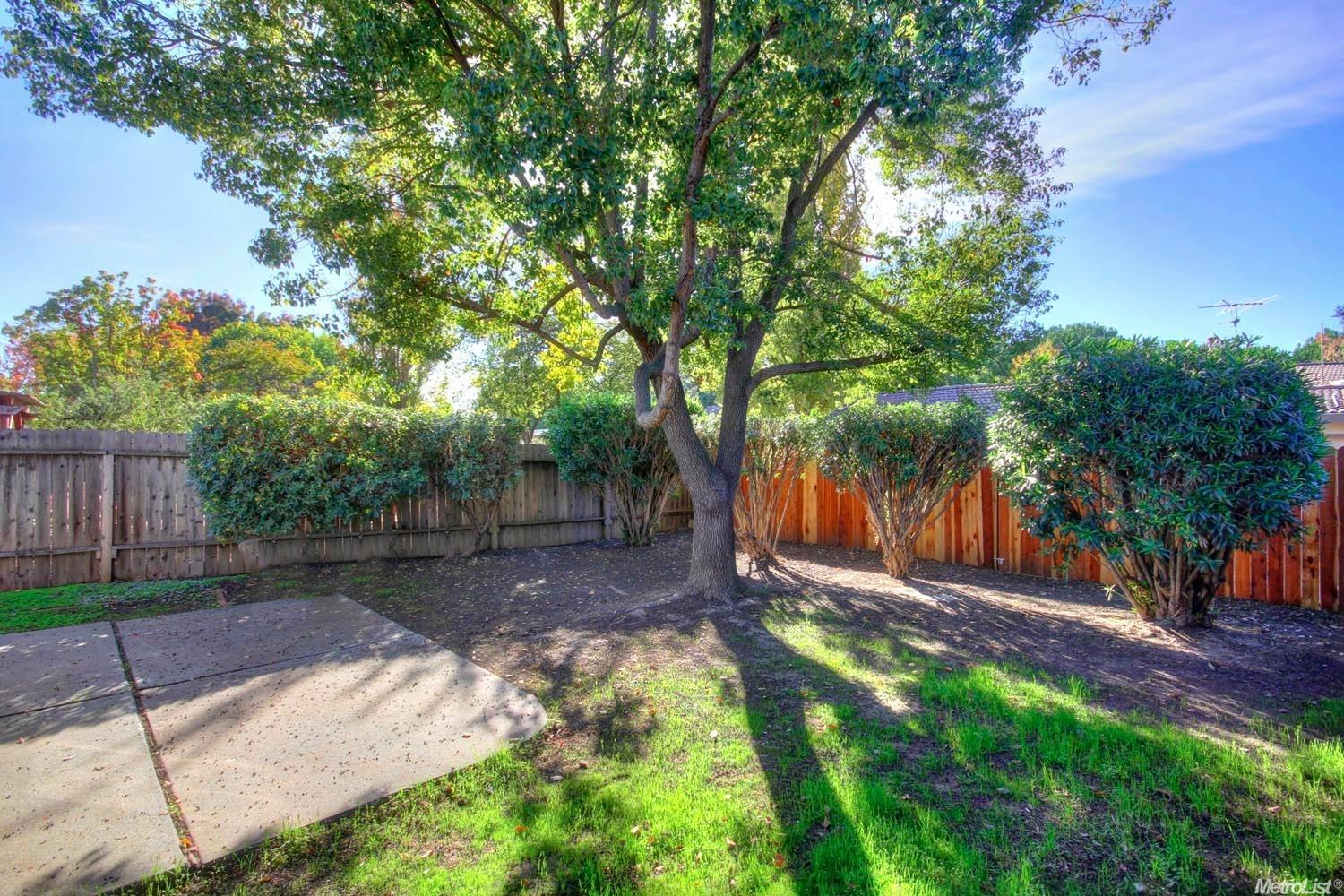 1015 Bienville St, Davis, CA 95616 photo 20
