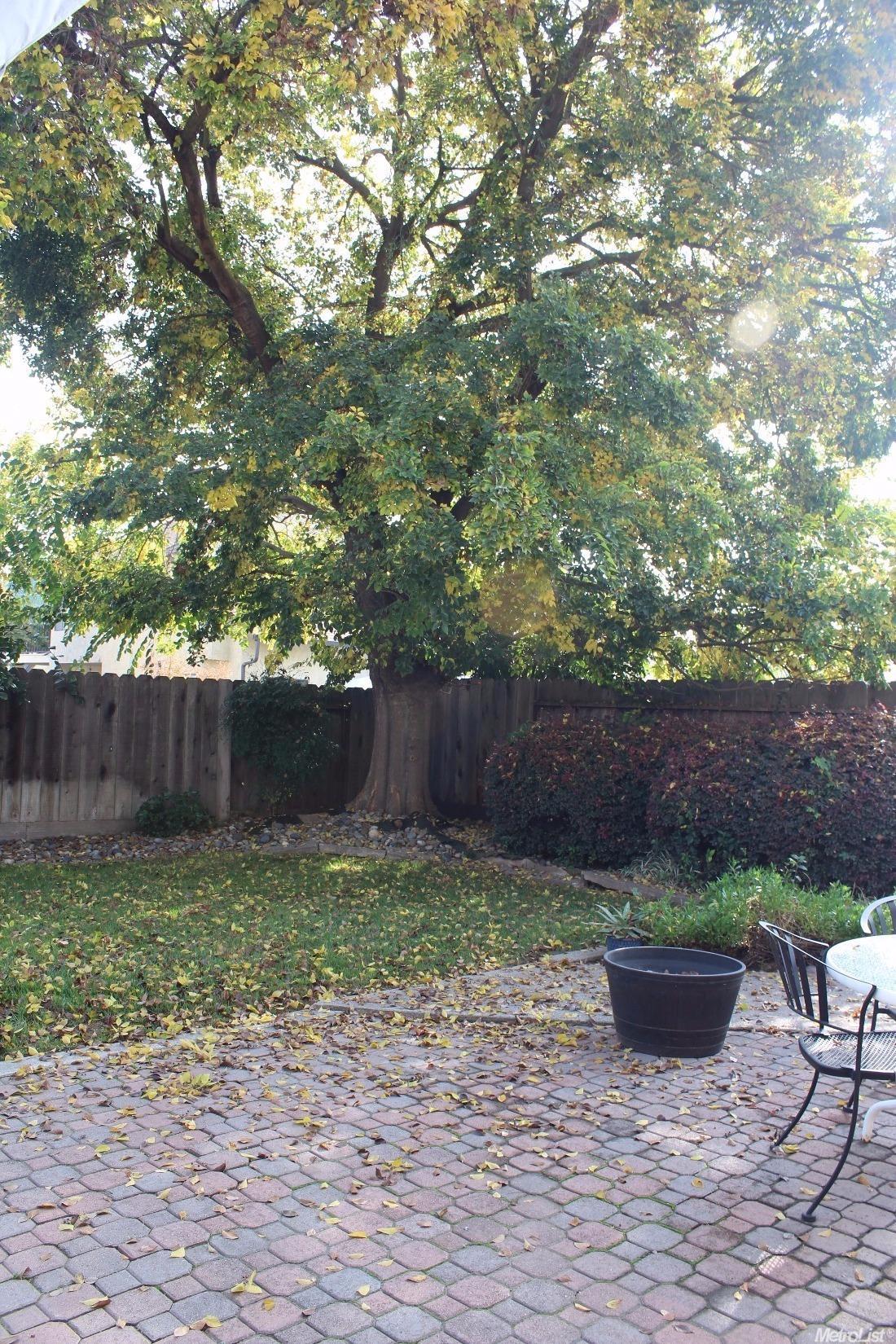 326 Cherry Ln, Manteca, CA 95337 photo 21