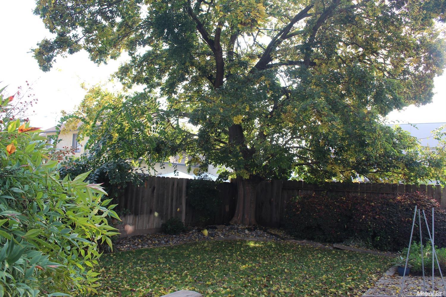 326 Cherry Ln, Manteca, CA 95337 photo 22