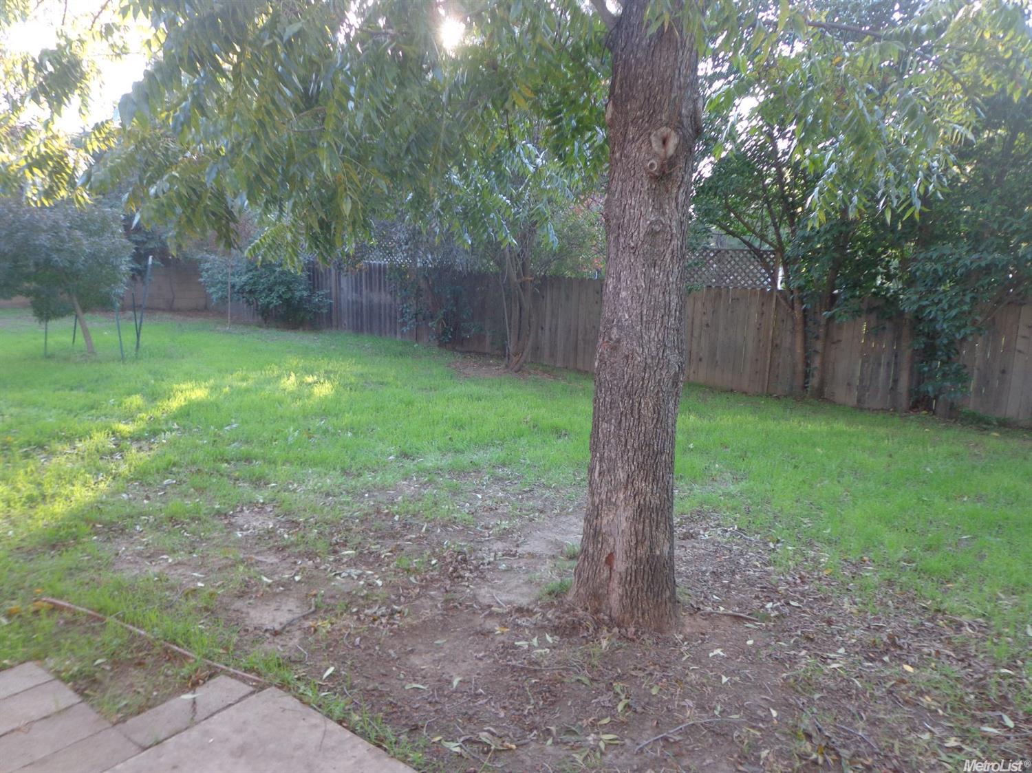 2517 Gunn Rd, Carmichael, CA 95608 photo 23