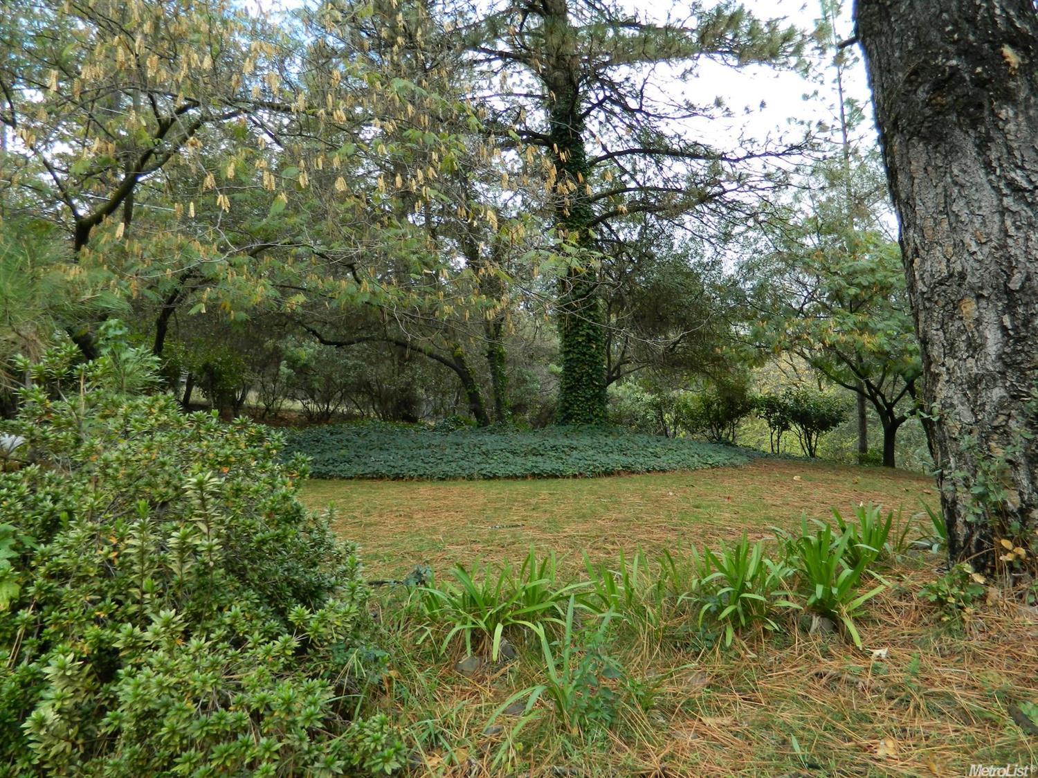35 Hilton Dr, Applegate, CA 95703 photo 32