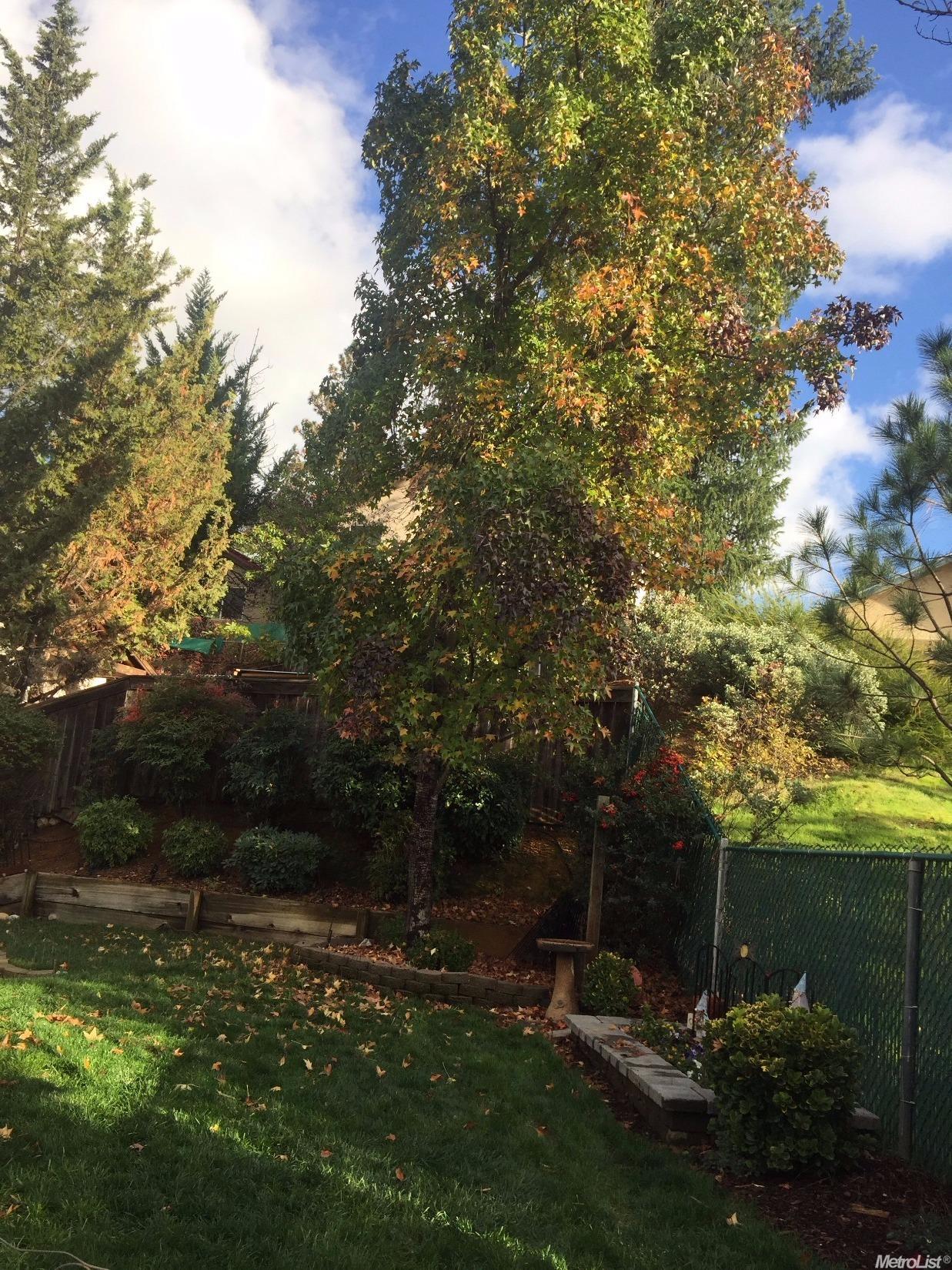 239 Incline Dr, Colfax, CA 95713 photo 20