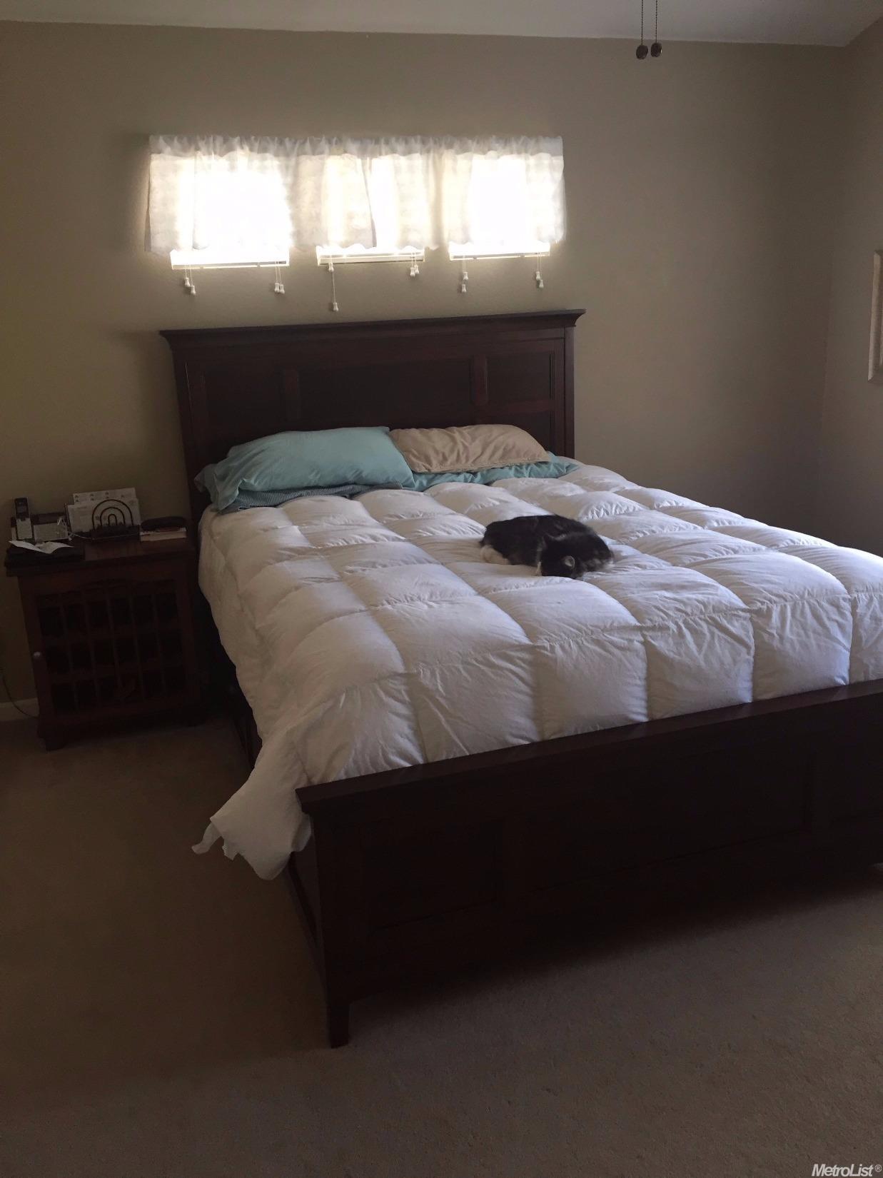 239 Incline Dr, Colfax, CA 95713 photo 13
