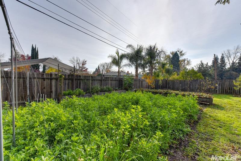 2338 Gunn Rd, Carmichael, CA 95608 photo 16