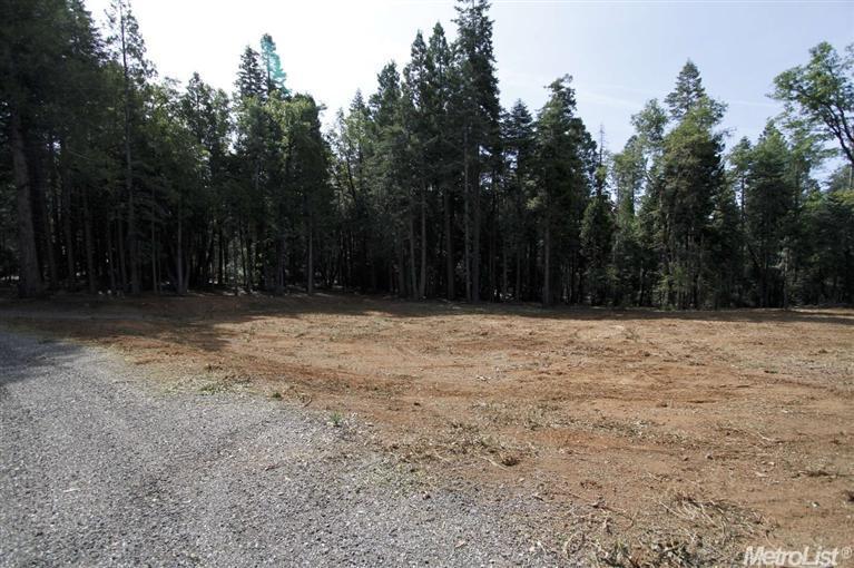 865 Hide Away Loop, Alta, CA 95701 photo 4