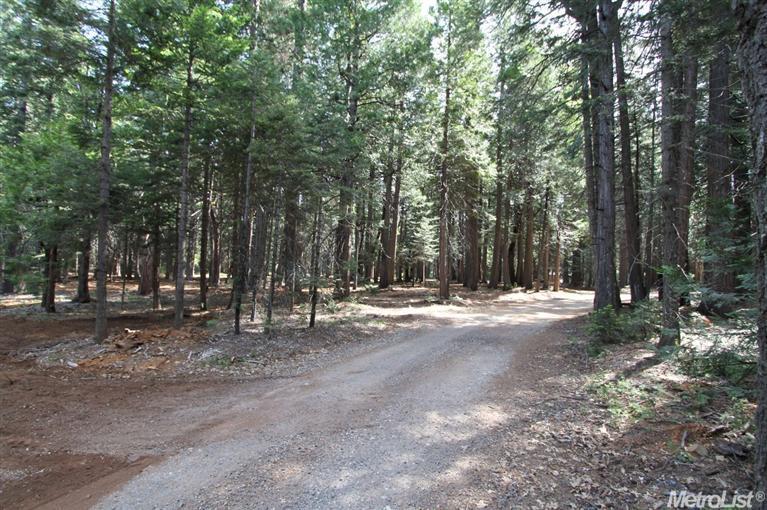 865 Hide Away Loop, Alta, CA 95701 photo 15