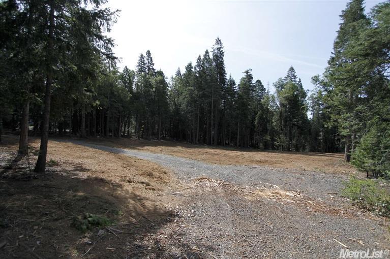 865 Hide Away Loop, Alta, CA 95701 photo 9