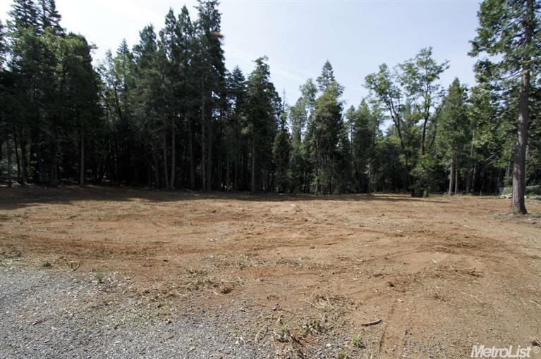 865 Hide Away Loop, Alta, CA 95701 photo 11