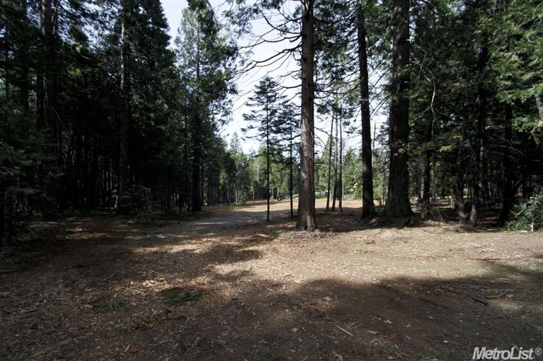 865 Hide Away Loop, Alta, CA 95701 photo 17