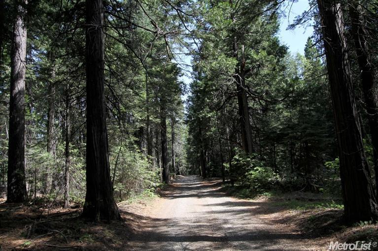 865 Hide Away Loop, Alta, CA 95701 photo 3