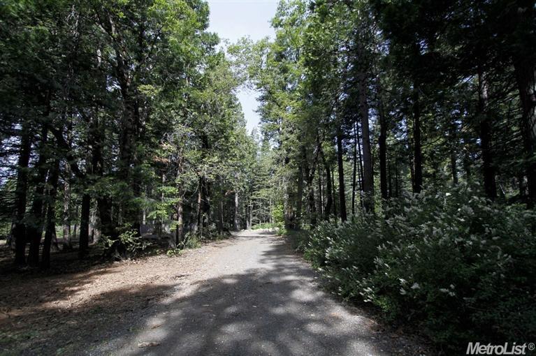 865 Hide Away Loop, Alta, CA 95701 photo 12