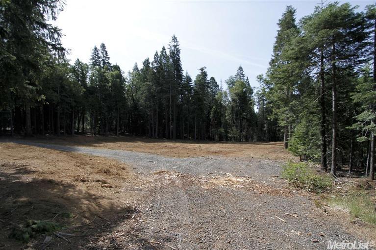 865 Hide Away Loop, Alta, CA 95701 photo 10