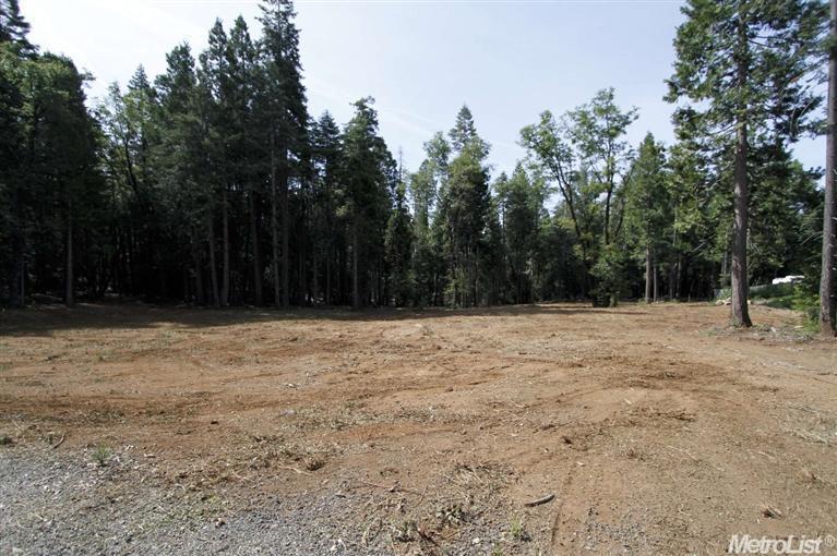 865 Hide Away Loop, Alta, CA 95701 photo 2