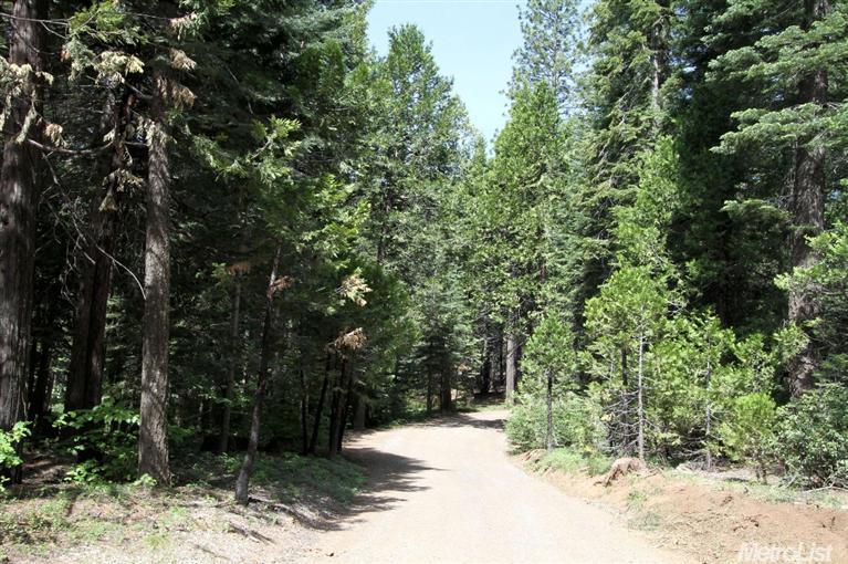 865 Hide Away Loop, Alta, CA 95701 photo 16