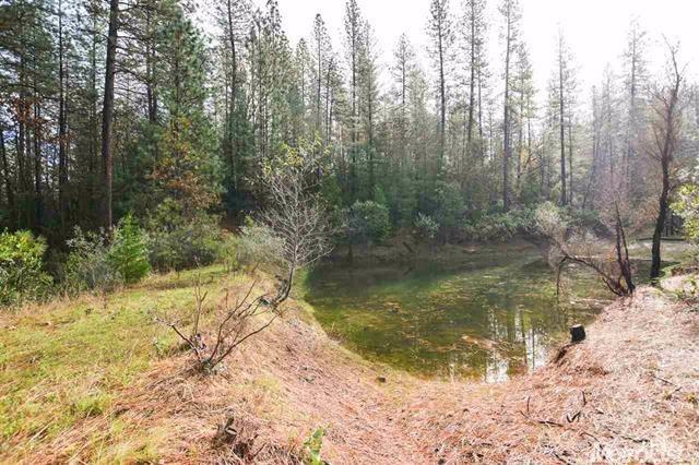 16632 Tyler, Fiddletown, CA 95629 photo 9