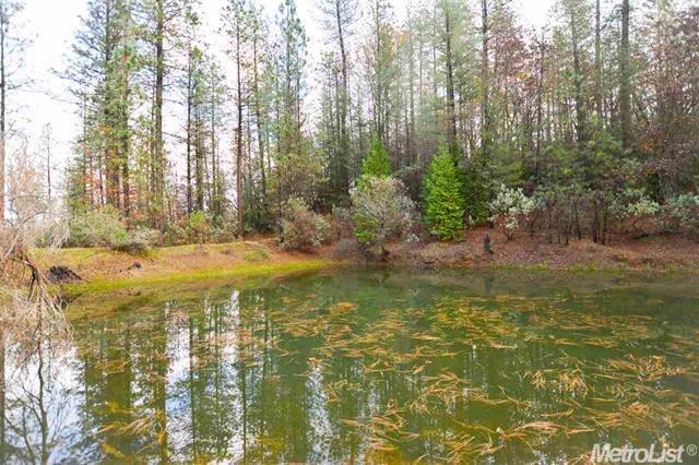 16632 Tyler, Fiddletown, CA 95629 photo 8