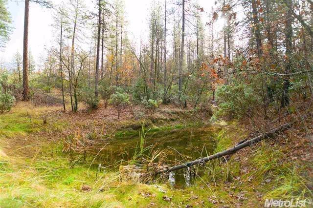 16632 Tyler, Fiddletown, CA 95629 photo 10