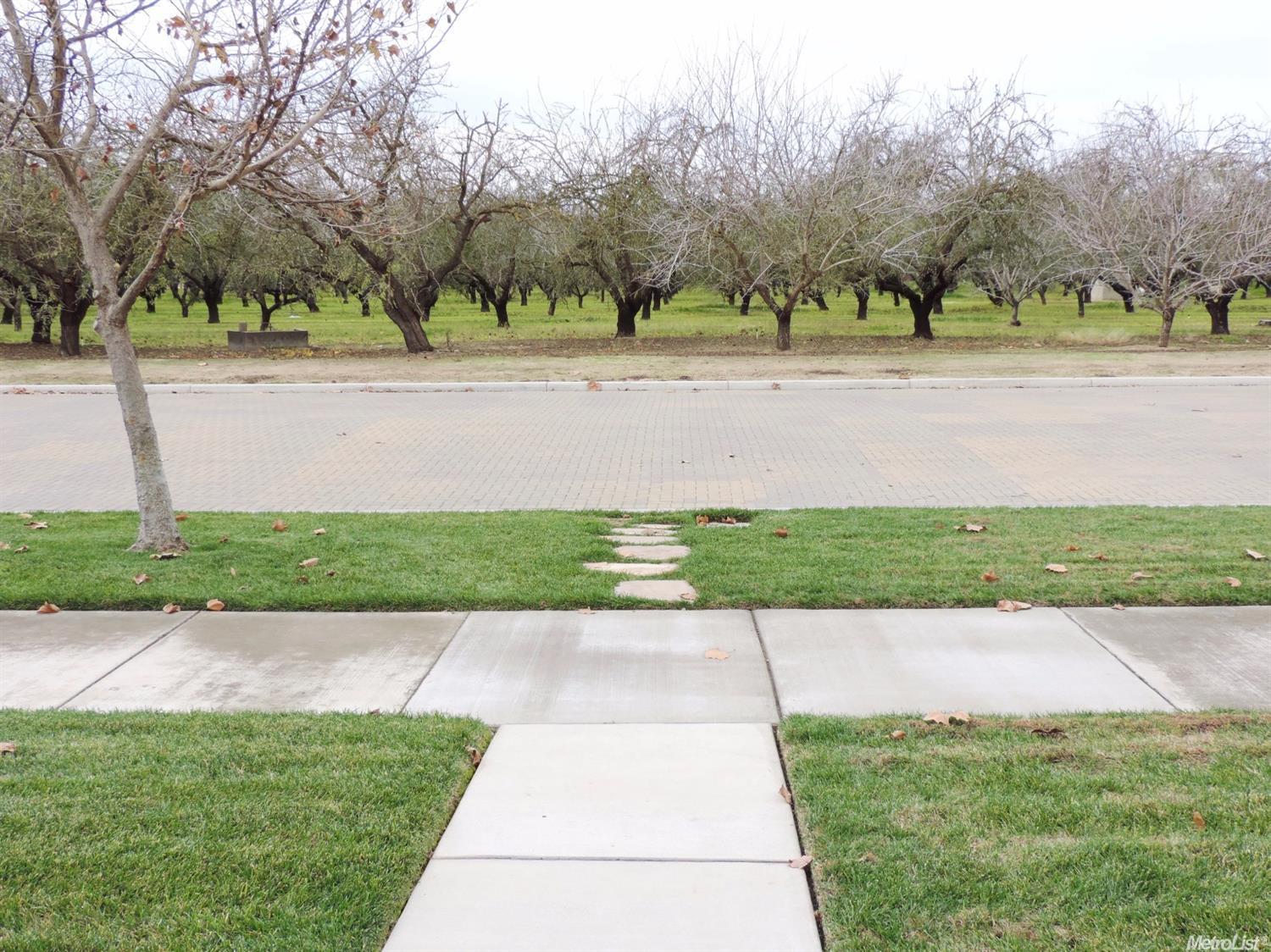1714 Cornerstone Dr, Ripon, CA 95366 photo 14