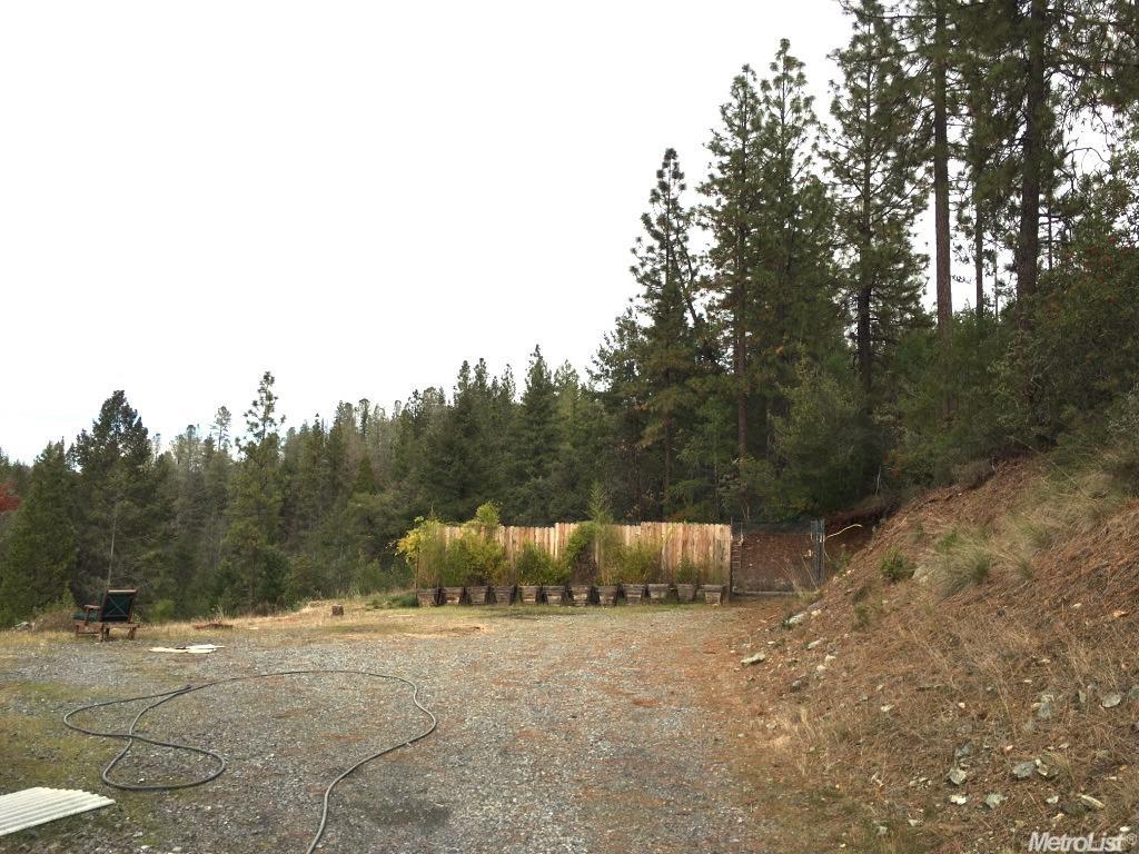 2650 Fox Run Rd, Georgetown, CA 95634 photo 15