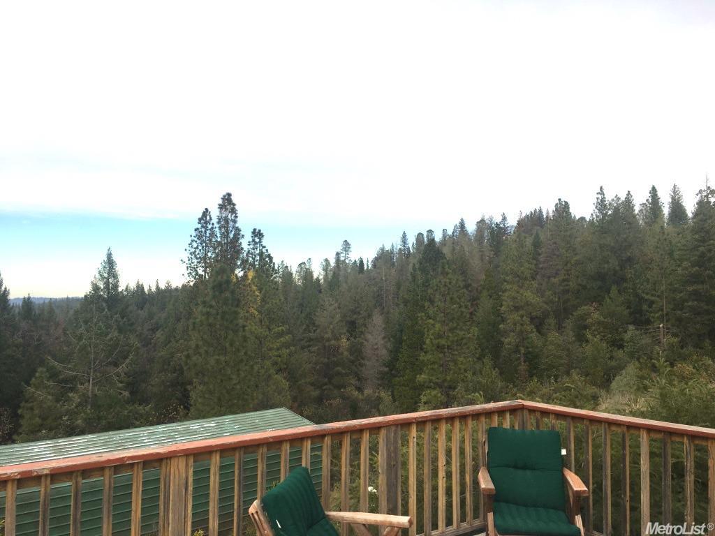 2650 Fox Run Rd, Georgetown, CA 95634 photo 20