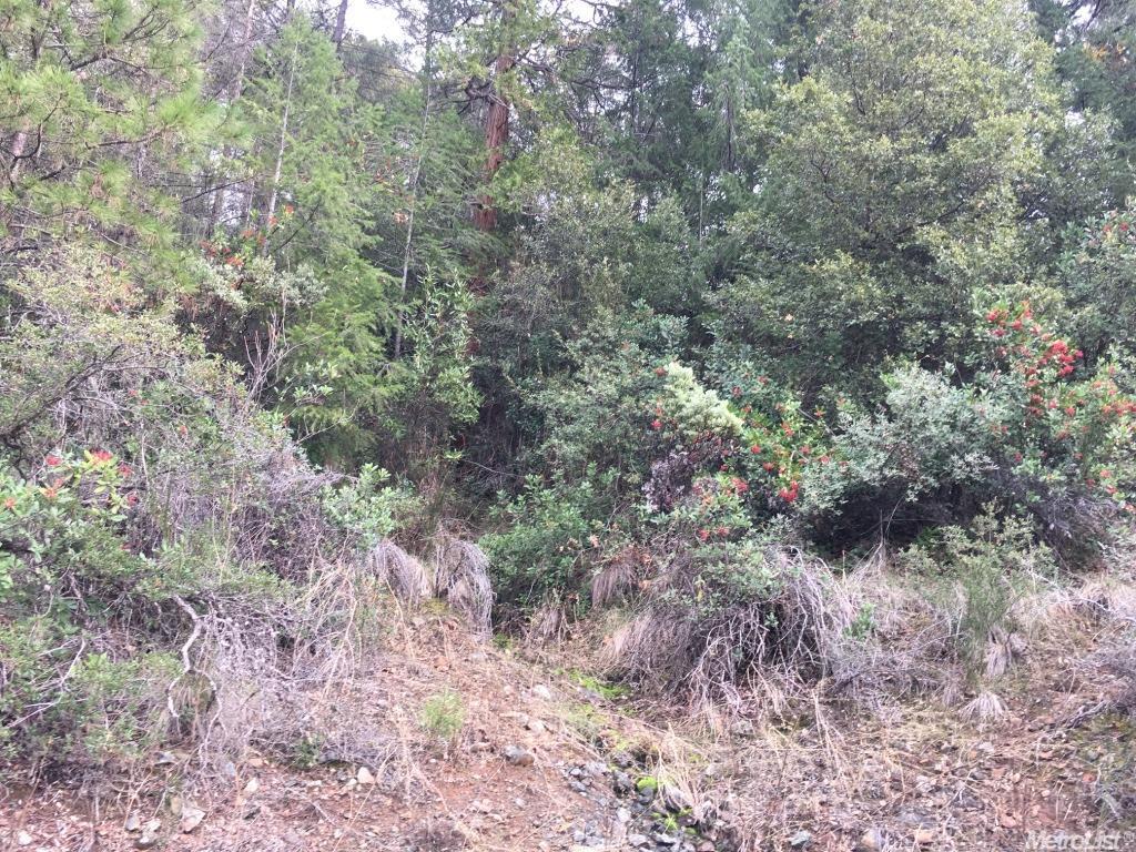 2650 Fox Run Rd, Georgetown, CA 95634 photo 25