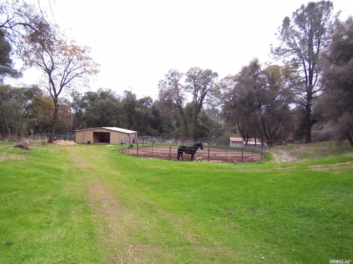 6020 Freedom Ct, Placerville, CA 95667 photo 5
