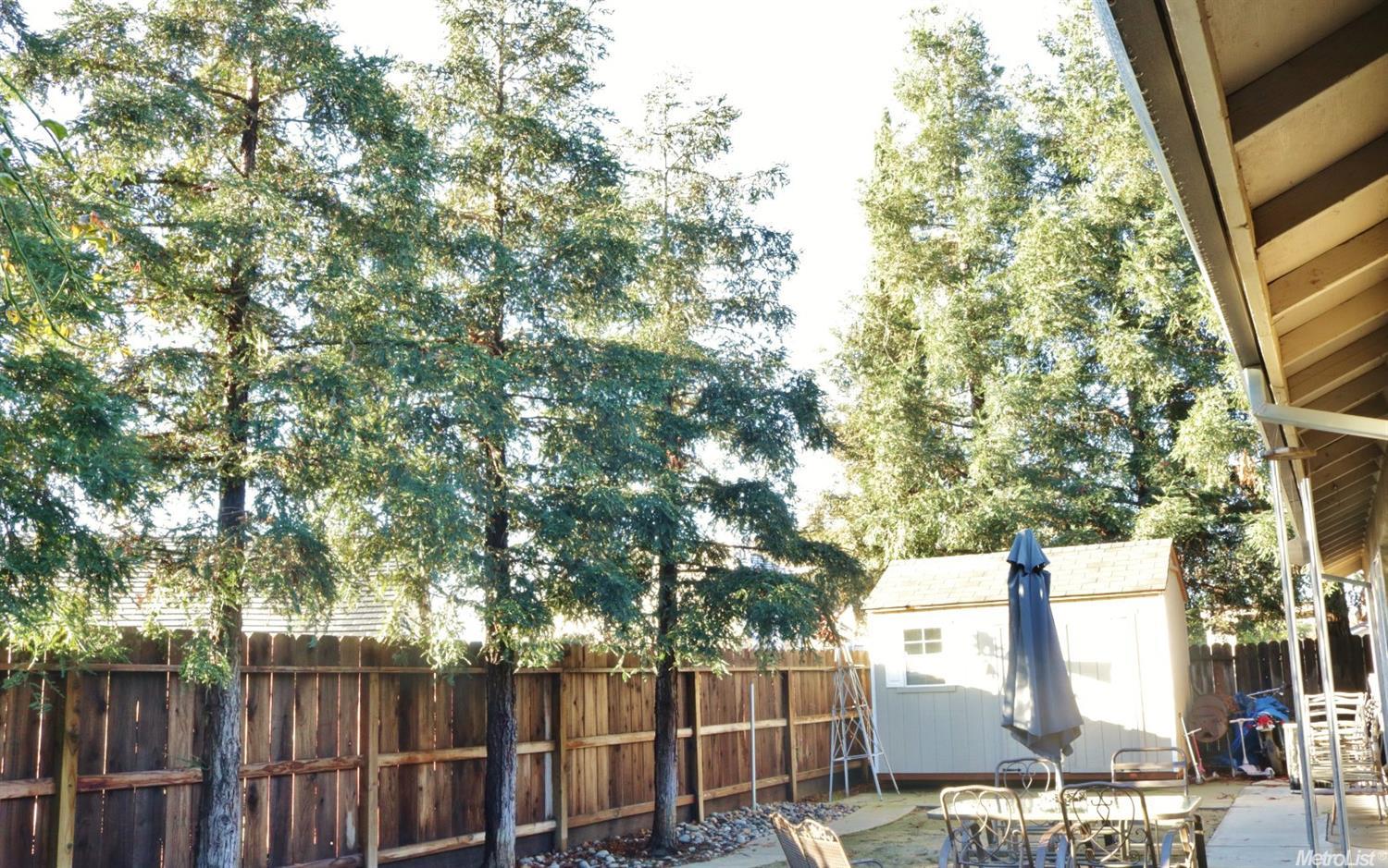 4812 White Willow Rd, Salida, CA 95368 photo 23