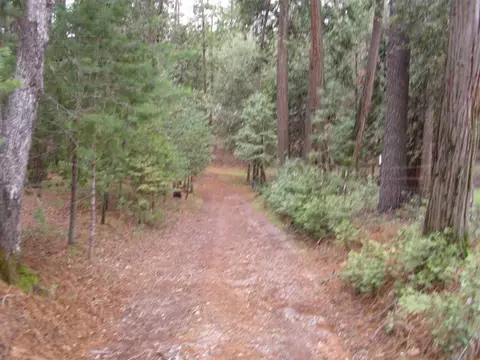 12815 Eldel Rd, Pine Grove, CA 95665 photo 3