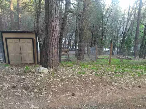 14351 Pine Cone Ln, Pine Grove, CA 95665 photo 9