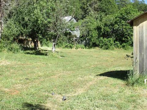 600 Ealey Rd, Glencoe, CA 95232 photo 11