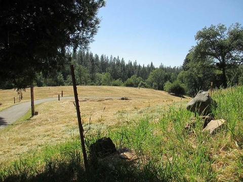 600 Ealey Rd, Glencoe, CA 95232 photo 9