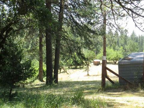 600 Ealey Rd, Glencoe, CA 95232 photo 19