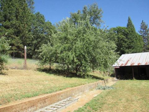 600 Ealey Rd, Glencoe, CA 95232 photo 15