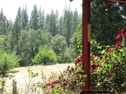 600 Ealey Rd, Glencoe, CA 95232 photo 4