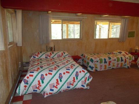 1364 Palmer Rd, West Point, CA 95255 photo 24