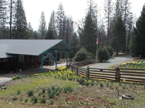 1364 Palmer Rd, West Point, CA 95255 photo 12
