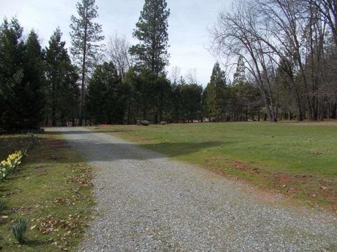 1364 Palmer Rd, West Point, CA 95255 photo 23