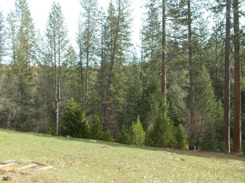 1364 Palmer Rd, West Point, CA 95255 photo 2