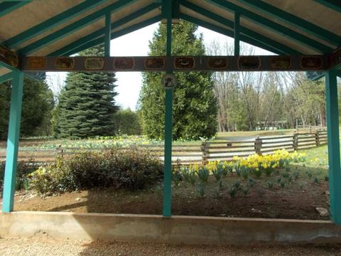 1364 Palmer Rd, West Point, CA 95255 photo 30
